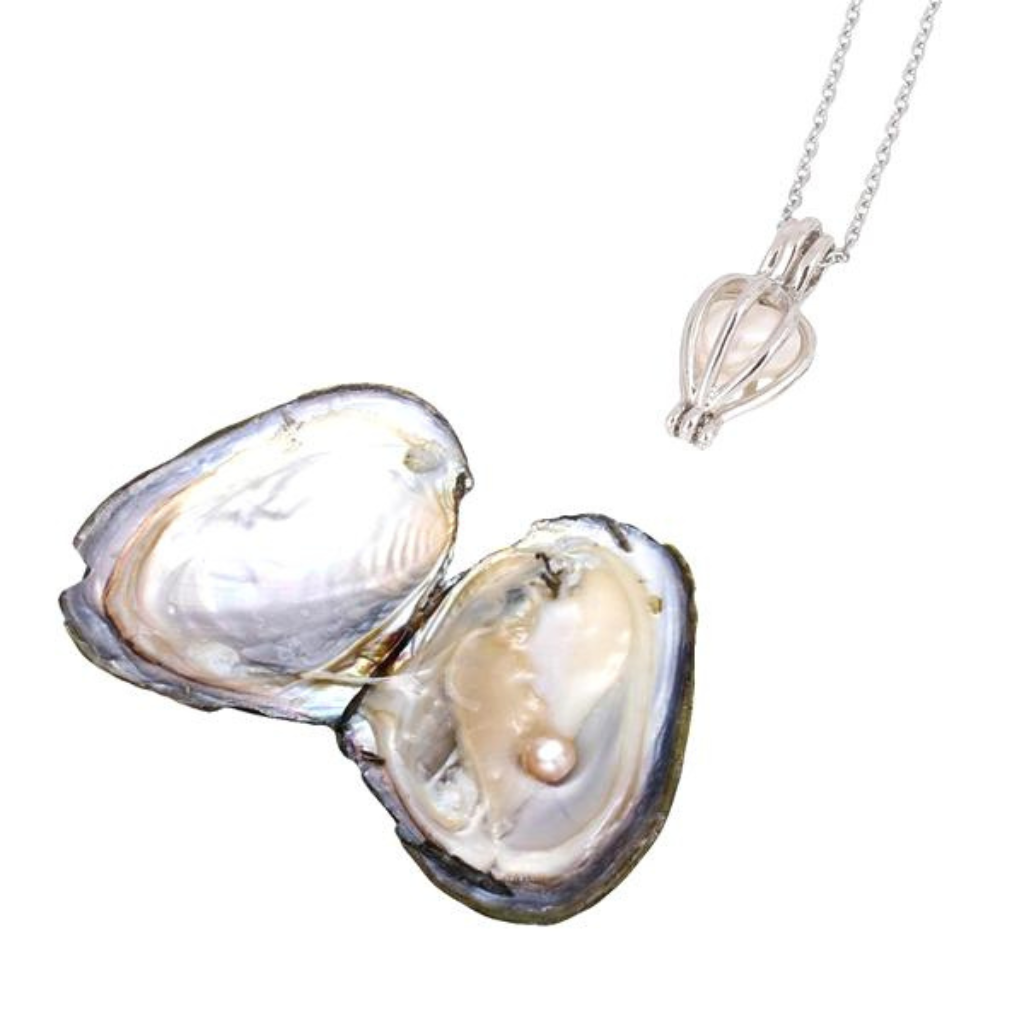 Real Oyster Pearl Pendant Necklace